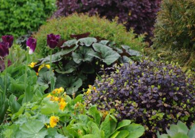 Hot Border Bed 1512659895