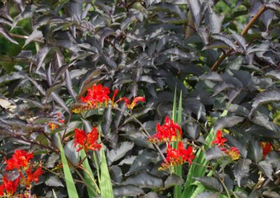 Hot Border Bed 1512659954