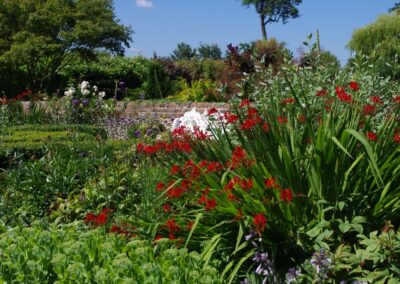 Pleasure Garden 1512661813