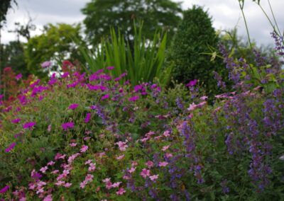 Raised Herbaceous Border 1512662501