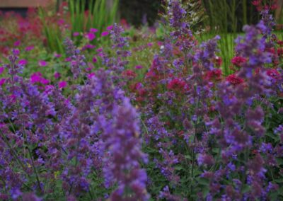 Raised Herbaceous Border 1512662554