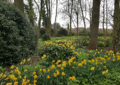 Woodland Garden 1512662826