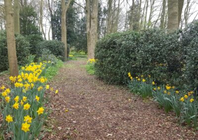 Woodland Garden 1512662836