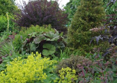 Hot Border Bed 1518038951