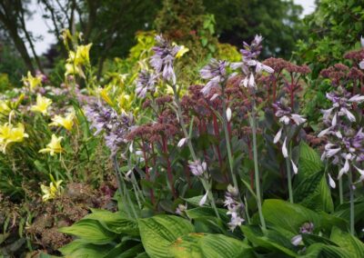 Hot Border Bed 1518039377