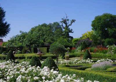 Pleasure Garden 1518044122