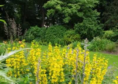 Woodland Garden 1518048226