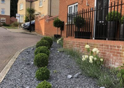 Bedford Front Garden IMG 3750 scaled 1
