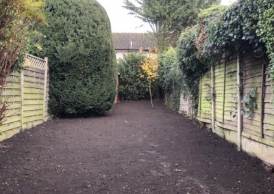 Cottage Garden in Wheathampsted IMG 6380 e1574076271819 773x1030 1