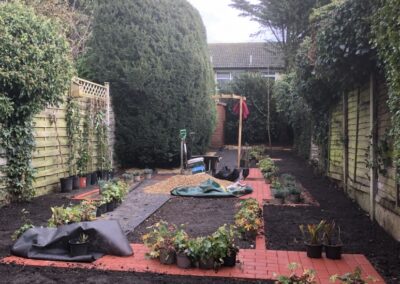 Cottage Garden in Wheathampsted IMG 6573 e1574076252401 773x1030 1