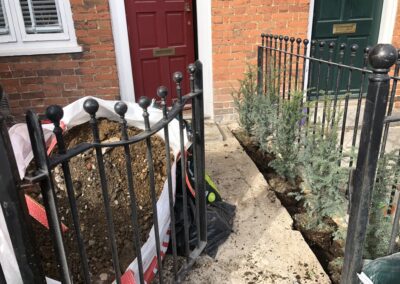 Small Front Garden in Harlow UNADJUSTEDNONRAW thumb 1956