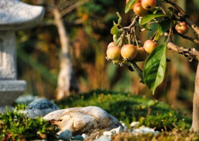 Feng Shui Garden Designer Zen garden design features 1030x579 2
