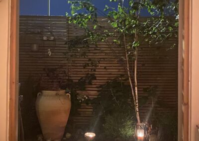 Contemporary Zen Garden IMG 3303 1